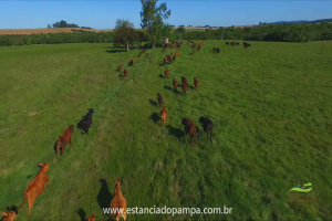 Fazenda Reconquista - Cachoeira do Sul.00_00_22_08.Quadro007_a7f379b169308e407b6059df36a12b169d6e4906.png